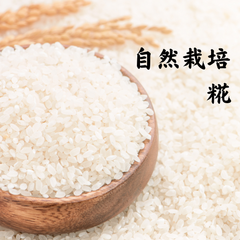 自然栽培　白米糀　500g