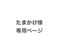 たまかけ様専用ページです。(5匹の仲良しチワワ)