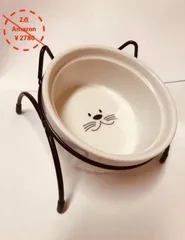 【2個セット】犬猫用 食器 15度傾斜 首の負担軽減 陶器 かわいい猫耳デザインのサムネイル