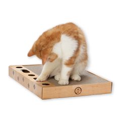 Item thumbnail for item 0564790b-e938-43b2-93b6-f6902096b8cb