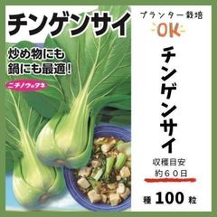 【野菜の種】炒め物や鍋に！「チンゲンサイ（青梗菜）」収穫約６０日～