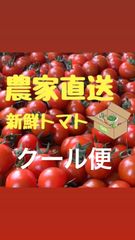 マリーちゃん様専用です‼️訳ありトマト 9kg以上 100サイズ - メルカリ