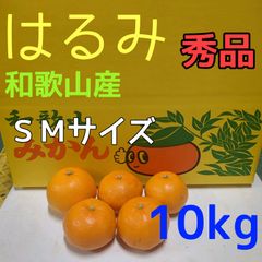 ぷりぷり！はるみ　和歌山みかん　秀品 SM 10kg