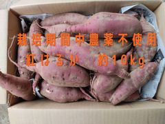 栽培期間中農薬不使用　愛媛県産さつまいも　紅はるか　約10kg