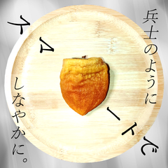 【セール】贅沢半熟生とろ食感ほんだ屋プレミアムあんぽ柿 HONDANPO SJ