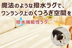【SALE】店舗保管品 Revolution Rug  200×280cm 撥水性ラグ 洗濯可能 オールシーズンOK 高性能滑り止め付 ベージュ 韓国インテイリア