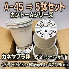 A-45白(カネヤ＊カントー)プラ鉢5鉢セット＊多肉植物・塊根植物コーデックス・アガベ・サボテン・ハオルチア・観葉＠フラワーショップ江口※黒インク状の付着が有ったりします