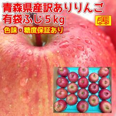 クール便 青森県産 訳あり スマートフレッシュ！ りんご 有袋ふじ5kg 色味・高糖度保証