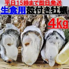 絶品　生牡蠣　カキ　10キロ(約100個前後)軍手ナイフ付　伊万里湾産　送料無料 楽天市場】生 牡蠣の通販