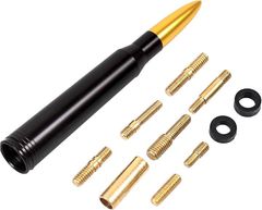 Item thumbnail for item 1d6939a5-ca05-41aa-aa73-4544c7af8fd8