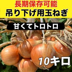 甘くてトロトロ‼️農家直送‼️吊るして長期保存可能‼️新玉ねぎ10キロ