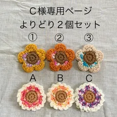 Ｃ様様専用ページ　アクリルたわし　よりどり２個セット