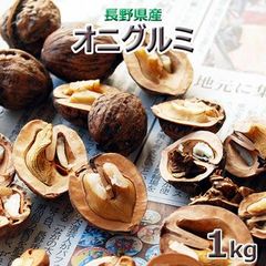 2024年産　長野県天然「オニグルミ」殻付き１ｋｇ（大小バラ詰め）
