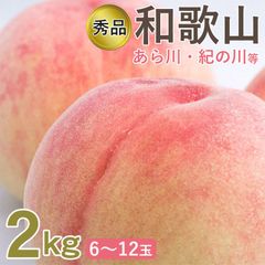 【6月下旬から順次ご発送】【 和歌山県 桃 約 2kg 6～12玉 】桃 予約 もも モモ 和歌山 和歌山のもも ギフト 和歌山県 桃 秀品 和歌山県産 白桃 白鳳等 約 2kg 6～12玉 ご家庭用 和歌山県 和歌山 あら川 紀の川 桃 白桃 贈答用