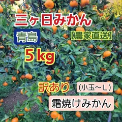 ★青島みかん【5kg】霜焼け・しなび(小玉〜2Ｌ)【農家直送】三ヶ日みかん⚠️完売