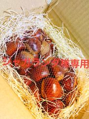 茨城県【笠間産】2Lサイズ　1kg