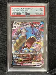 2025年最新】ギャラドス psa10の人気アイテム - メルカリ