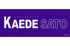 【中古】シール・ステッカー(女性) 佐藤楓 個別ネームステッカー トラベルグッズ 乃木坂46オフィシャルウェブショップ限定