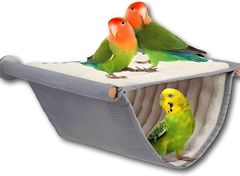 Item thumbnail for item 65d13031-10eb-4c6b-9f46-8324a55e3772