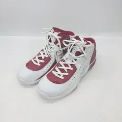 ◇ ◎●未使用● Θ TIGORA ティゴラ ハイカット バスケットシューズ サイズ29 ホワイト系 メンズ E  【1503060009819】