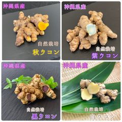 沖縄県産 自然栽培 生 秋/紫/黒/白ウコン4種 - メルカリ