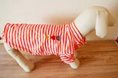 ボーダー　くま　ハート　星　スター　刺繍　可愛い　犬服　春服　夏服　秋服　春夏　夏秋　ドッグウェア　犬　ファッション