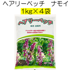 ヘアリーベッチ　品種名：ナモイ　4kg（1kg×4袋）【種】緑肥　種　アレロパシー効果　秋まき