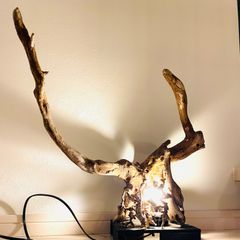 津軽　LED　流木アート　インテリア　NW21 希少もの