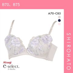 Item thumbnail for item a4aaf521-82bd-428b-92e5-b8e8181d8d10