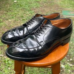 Alden オールデン コードバン　54331　Vチップ　US8.5D 別注