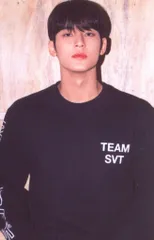 SEVENTEEN 2022 6th FANMEETING CARAT LAND MINGYU トレーディングカード 0022