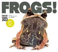 2023年最新】frogsの人気アイテム - メルカリ