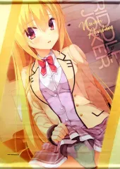 RIDDLE JOKER 特典タペストリー とらのあな リドルジョーカー Amazon.co.jp: RIDDLE JOKER リドルジョーカー【予約特典:1.ラフ