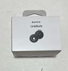 2025年最新】ソニー ワイヤレスイヤホン linkbuds wf-l900