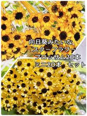 向日葵みたいなスターフラワーミニ20本 - メルカリ
