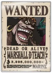 黒ヒゲ　ティーチ　手配書　PSA10 2025年最新】ティーチ 手配書 psa10の人気アイテム - メルカリ