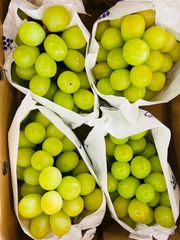 【大容量セール♪】訳あり品　有名な産地　大分県産　濃厚あま〜い　シャインマスカット　4キロ（6〜8房）　【クール便】【送料無料】果物　旬のフルーツ　4Kg フルーツ　秋の果物　激安