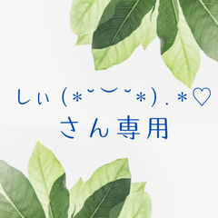 しぃ(⁠*⁠˘⁠︶⁠˘⁠*⁠)⁠.*⁠♡さん　専用（おまとめ）