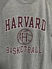 珍品 Champion カレッジT 古着 ハーバード大 ラグランスリーブ L グレー