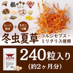 2025年最新】鹿角霊芝の人気アイテム - メルカリ