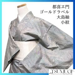 新品 夏着物 紗 グラデーション トールサイズ ゆったり ガード加工付