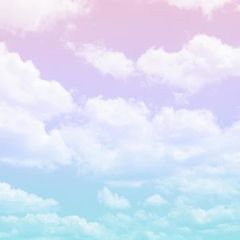 shop-thumbnail