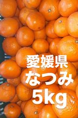愛媛県産　なつみ　柑橘　　5kg