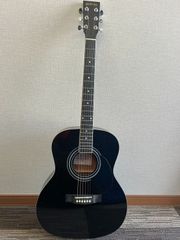 HONEY BEE アコースティックギター F-15　ケース付き