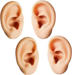 geneX シリコン製耳模型 両耳 耳鍼 縫合 練習 ダミーヘッド バイノーラル録音 4個セット
