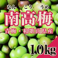小15kg 沖縄県産 摘果マンゴー(お漬物用）10g～日々肥大 - メルカリ