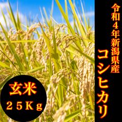 米　コシヒカリ　新潟米　お米　玄米　こしひかり