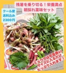 自然栽培！薬味セットはじめました！