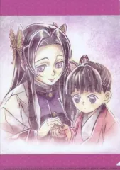 【中古】クリアファイル 胡蝶カナエ＆栗花落カナヲ 提供イラスト(柱合会議・蝶屋敷編)A4クリアファイル 「鬼滅の刃」