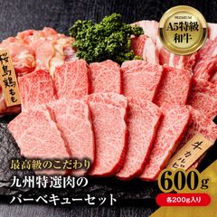 600g 贅沢和牛焼肉セット (鹿児島A5黒牛、福岡糸島豚、桜島鶏) お肉